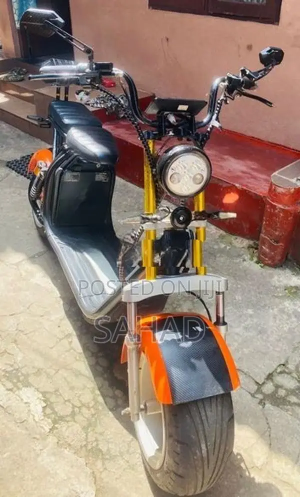 Electric Bike 2016