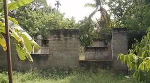 Matara : 74P Fertile Land for Sale in Rathmale