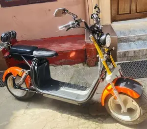 Electric Bike 2016