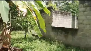 Matara : 74P Fertile Land for Sale in Rathmale
