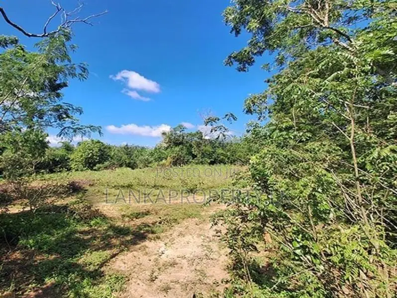A valuable 2.5 acre land is for sale in plots Colombo.