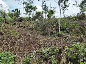 160 Perches Scenic Land for Sale in Kananke, Matara