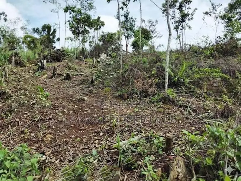 160 Perches Scenic Land for Sale in Kananke, Matara