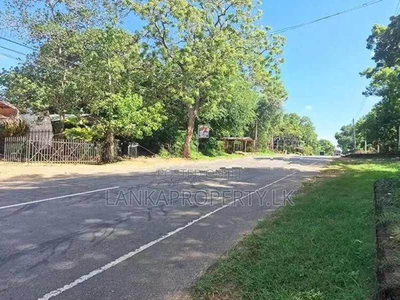 A valuable 2.5 acre land is for sale in plots Colombo.