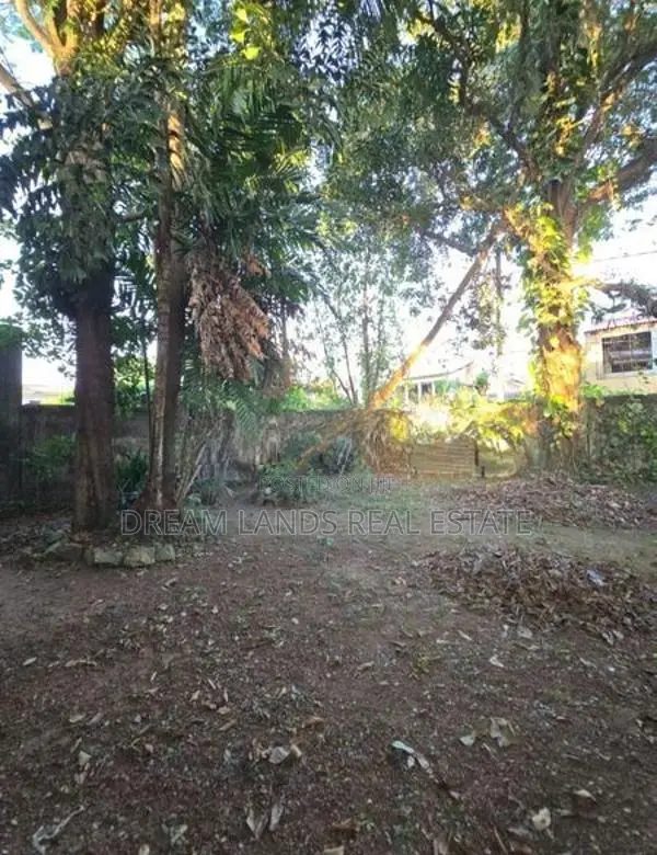 Commercial Land for Sale in Kalubowila (sp1202 A)