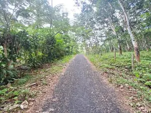 5 Acres of maintained Rubber Land for Sale on Udulla, Mirigama