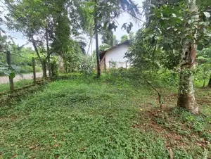 Land for Sale at Botuwadeniya Junction, Thammita.