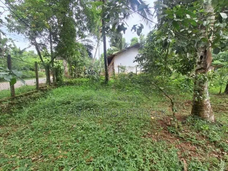 Land for Sale at Botuwadeniya Junction, Thammita.