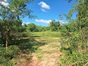 A valuable 2.5 acre land is for sale in plots Colombo.