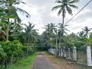 5 Acres of maintained Rubber Land for Sale on Udulla, Mirigama