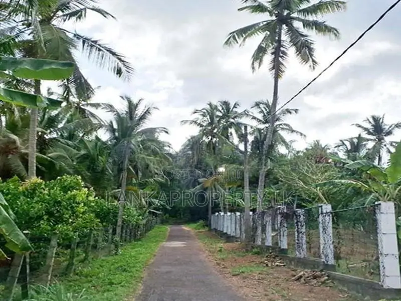 5 Acres of maintained Rubber Land for Sale on Udulla, Mirigama