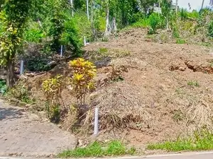 Valuable Commercial Land for Sale in Pilimathalawa.