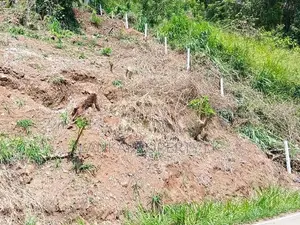 Valuable Commercial Land for Sale in Pilimathalawa.