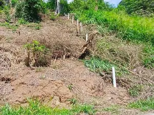 Valuable Commercial Land for Sale in Pilimathalawa.