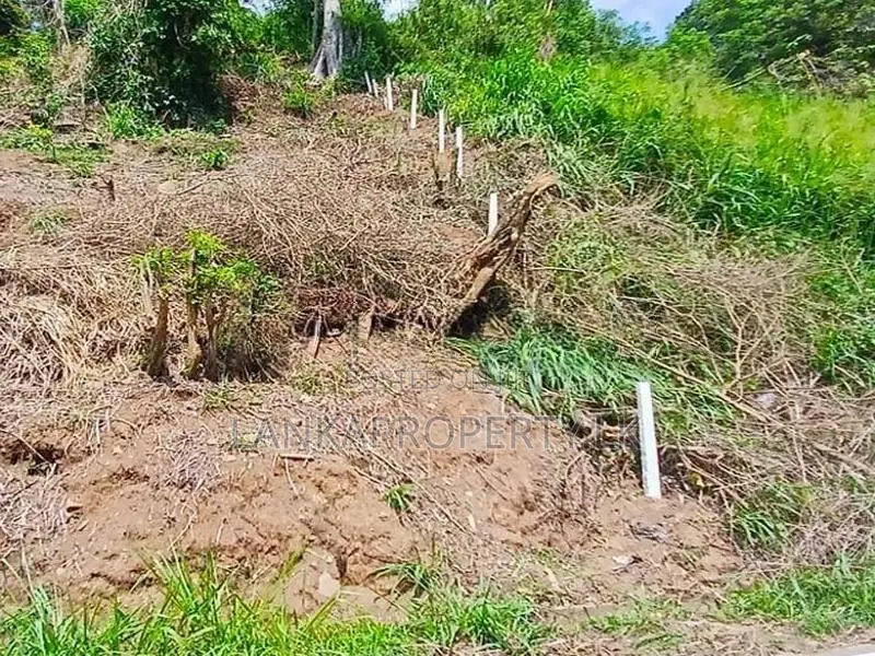 Valuable Commercial Land for Sale in Pilimathalawa.