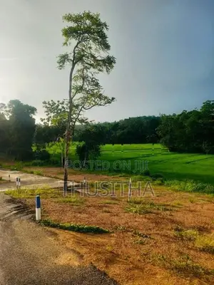 Matara Kekanadura | නගරයට ආසන්නයෙන් වටිනා ඉඩමක් විකිණීමට