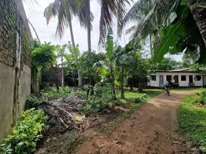 Land for Rent kelaniya