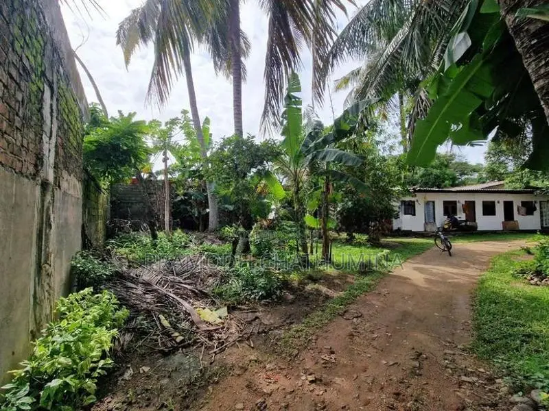 Land for Rent kelaniya