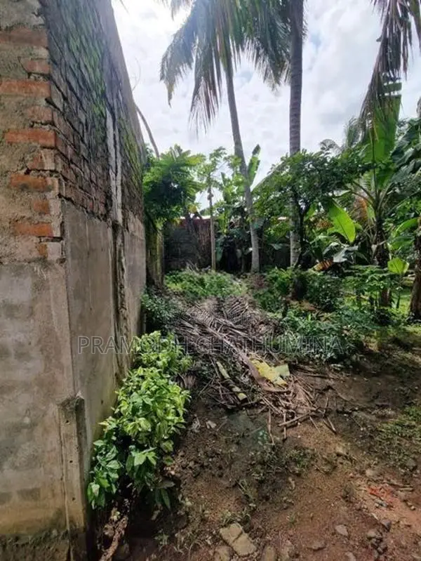 Land for Rent kelaniya
