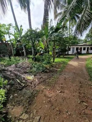 Land for Rent kelaniya