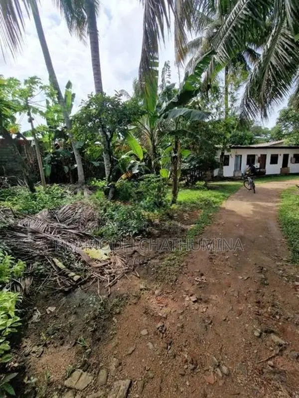 Land for Rent kelaniya
