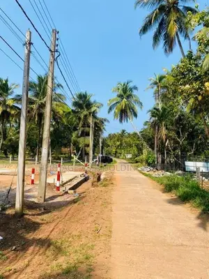 හලාවත පම්බල අගනා පර් 17 ඉඩමක් විකිණිමට