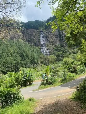 Land for Sale Near Bambarakanda Water Fall