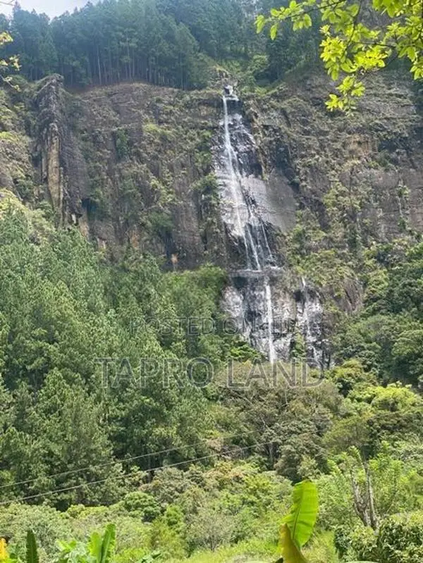 Land for Sale Near Bambarakanda Water Fall