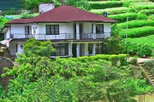 Bungalow for Sale in Nuwara Eliya – Scenic Hill Country Retreat