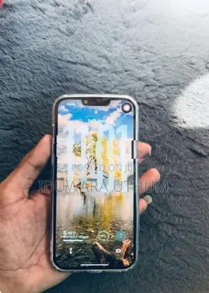 Apple iPhone 13 Pro Max (Used)
