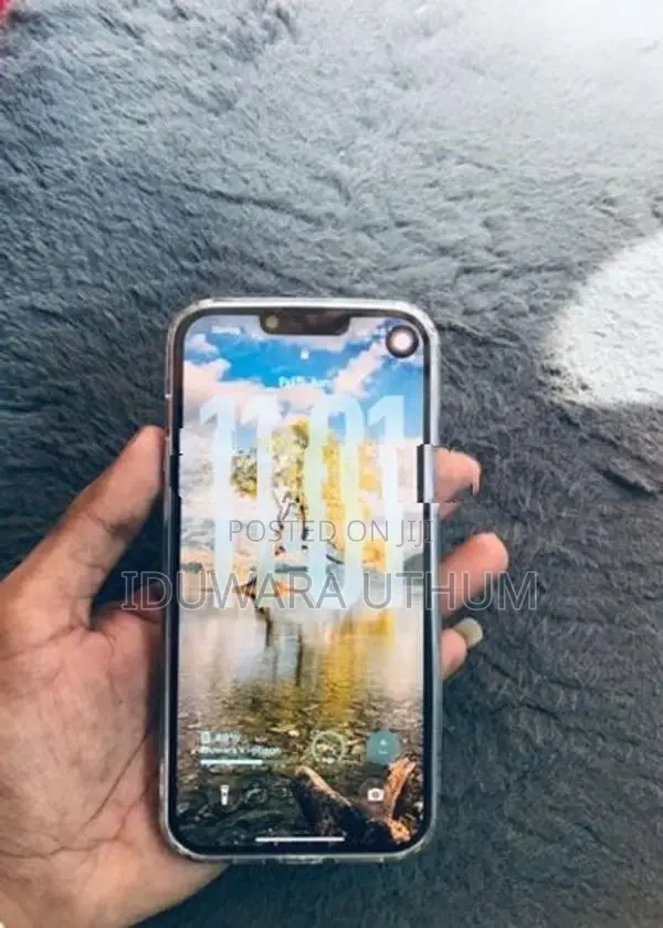 Apple iPhone 13 Pro Max (Used)