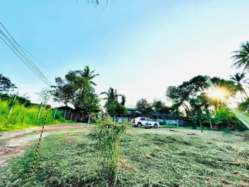 Panadura 20 P Prime Land for Sale