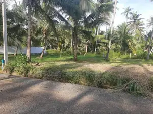 නාරම්මලින් පදිංචියට ඉඩමක්