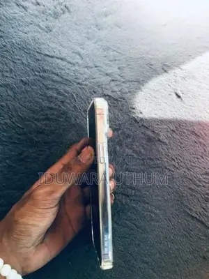 Apple iPhone 13 Pro Max (Used)