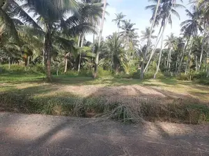 නාරම්මලින් පදිංචියට ඉඩමක්