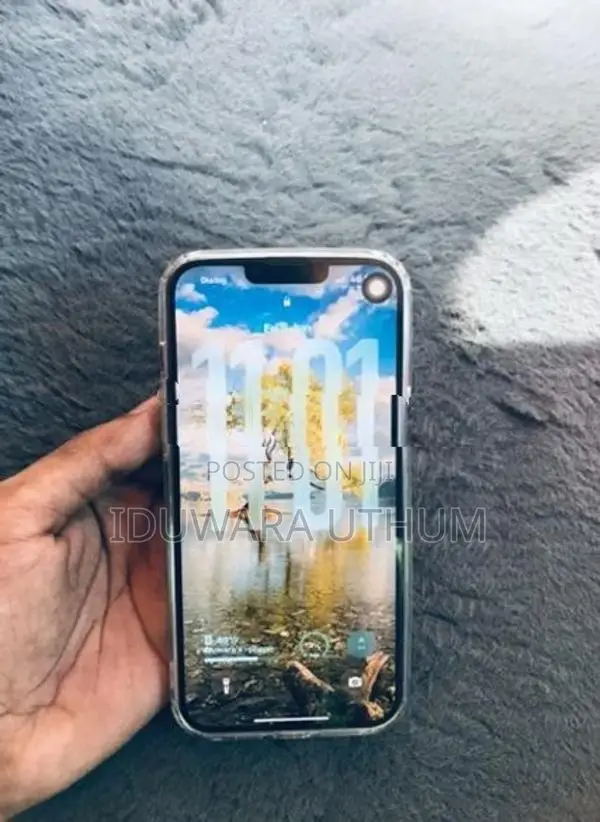 Apple iPhone 13 Pro Max (Used)