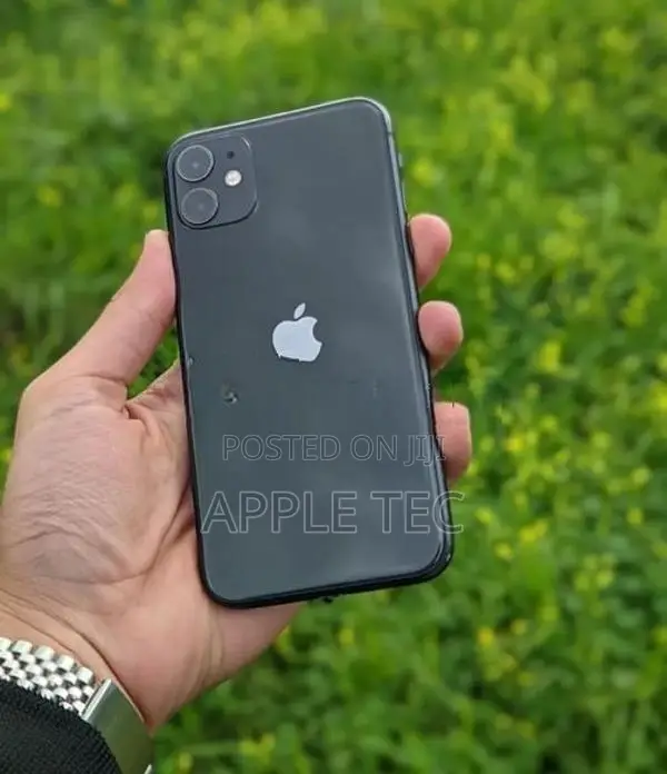 Apple iPhone 11 256GB (Used)