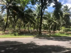 පාදෙණිය නේවාසික බිම් කොටස් විකිණීමට