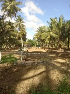 බලල්ල නේවාසික බිම් කොටස් විකිණීමට