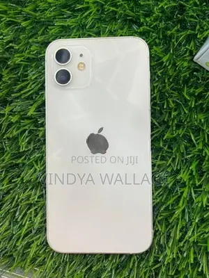 Apple iPhone 12 (Used)
