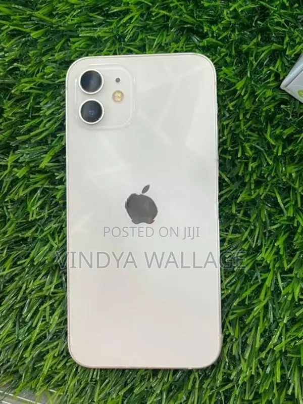 Apple iPhone 12 (Used)