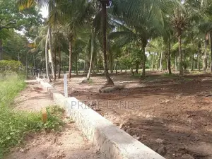 අනුරාධපුර පාරෙන් නේවාසික බිම් කොටස් විකිණීමට