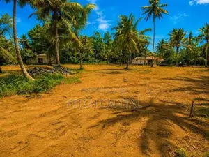 Sea Front Land in Midigama