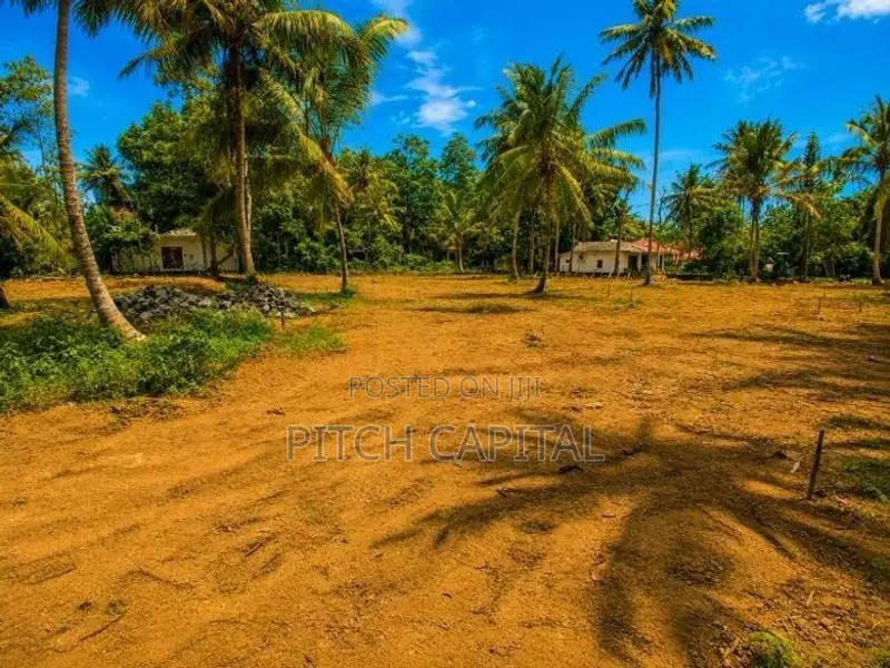 Sea Front Land in Midigama