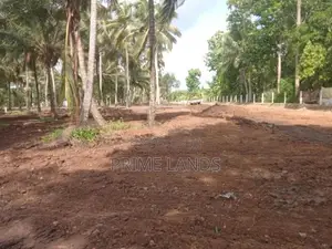 බලල්ල නේවාසික බිම් කොටස් විකිණීමට