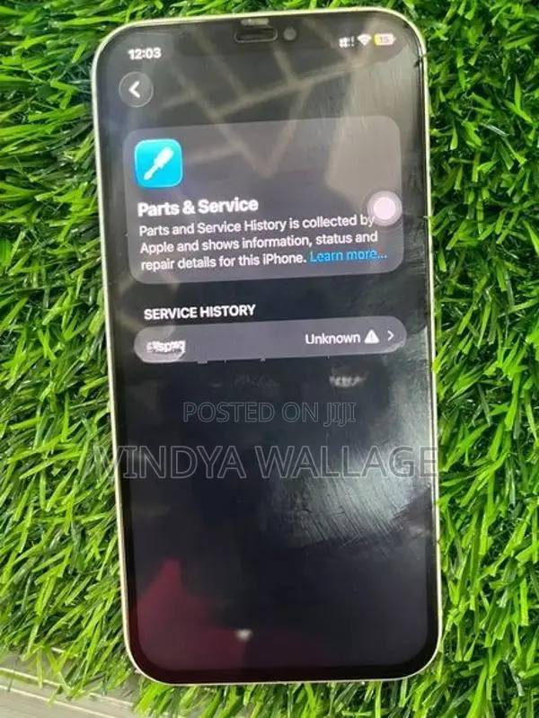 Apple iPhone 12 (Used)