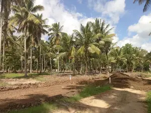 අනුරාධපුර පාරෙන් නේවාසික බිම් කොටස් විකිණීමට