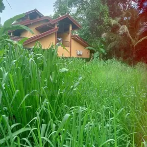 උතුරු බටගම, නිවන්දම පර්චස් 6 ක ඉඩම
