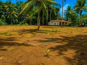 Sea Front Land in Midigama