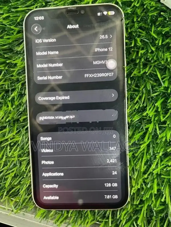 Apple iPhone 12 (Used)